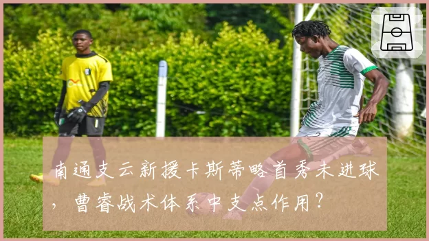 南通支云新援卡斯蒂略首秀未进球,曹睿战术体系中支点作用?