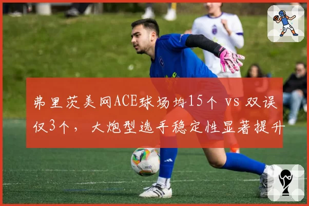 弗里茨美网ACE球场均15个 vs 双误仅3个,大炮型选手稳定性显著提升