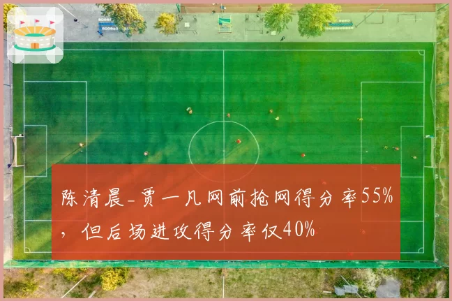 陈清晨_贾一凡网前抢网得分率55%,但后场进攻得分率仅40%