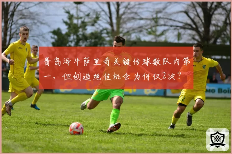 青岛海牛萨里奇关键传球数队内第一,但创造绝佳机会为何仅2次?
