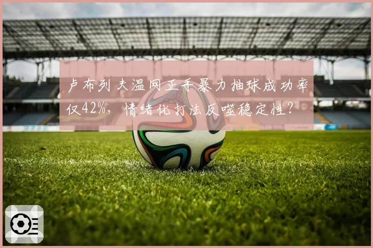 卢布列夫温网正手暴力抽球成功率仅42%,情绪化打法反噬稳定性?